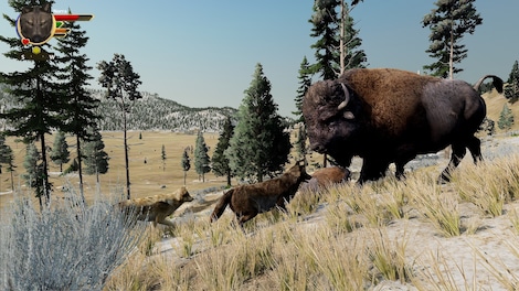 WolfQuest: Anniversary Edition (PC) - Steam Gift - EUROPE - 7