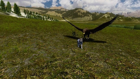 WolfQuest Steam Key GLOBAL - 11