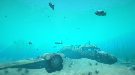 World of Diving (PC) - Steam Key - EUROPE - 11
