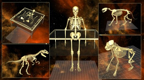 World of Guns: Gun Disassembly - 5 Skeletons Pack + Lifetime Access Steam Gift GLOBAL - 5