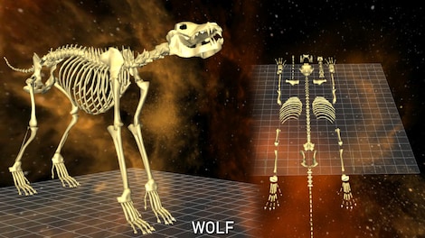 World of Guns: Gun Disassembly - 5 Skeletons Pack + Lifetime Access Steam Gift GLOBAL - 7