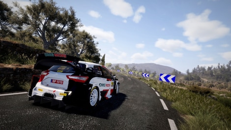 WRC 10 FIA World Rally Championship (PC) - Steam Key - GLOBAL - 8