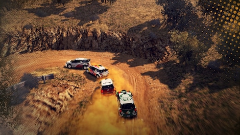 WRC Powerslide Steam Key EUROPE - 9