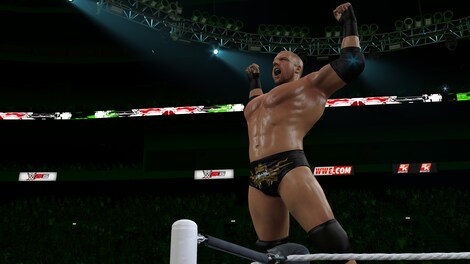 WWE 2K15 (PC) - Steam Gift - GLOBAL - 26