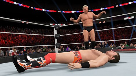 WWE 2K15 (PC) - Steam Gift - GLOBAL - 23