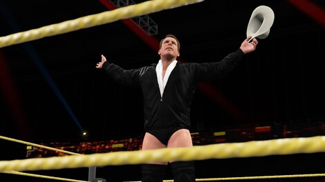 WWE 2K15 (PC) - Steam Gift - GLOBAL - 22