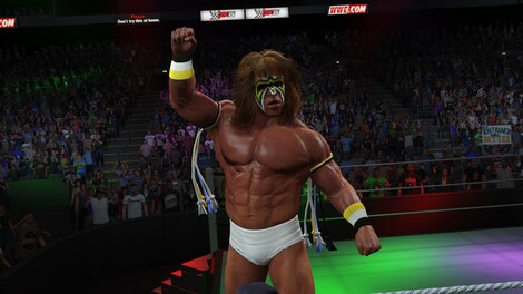 WWE 2K15 (PC) - Steam Gift - GLOBAL - 11