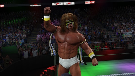 WWE 2K15 XBOX (Xbox One) - Xbox Live Key - GLOBAL - 12