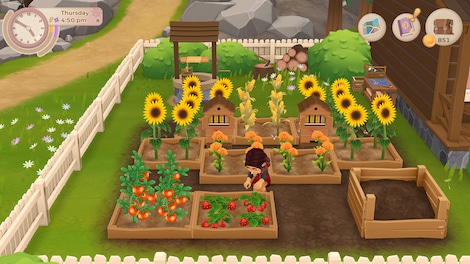 Wylde Flowers (PC) - Steam Key - GLOBAL - 5