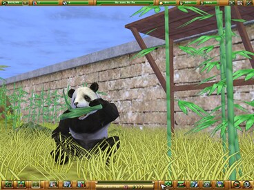 Zoo Empire Steam Key GLOBAL - 4