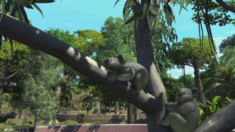 Zoo Tycoon: Ultimate Animal Collection Xbox Live Key Xbox One EUROPE - 6