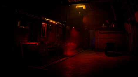 Zoochosis (PC) - Steam Key - EUROPE - 3
