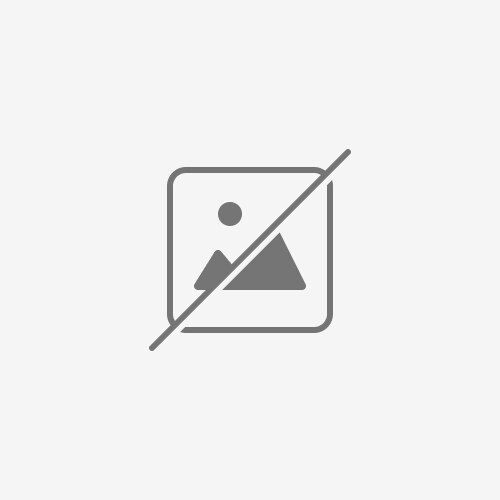 Chameleon Startup Manager Pro
