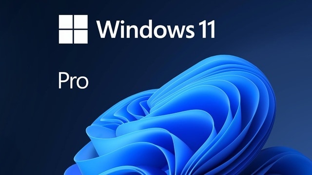 Microsoft Windows 11 Pro - PC