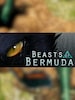 Beasts of Bermuda - Steam - Gift EUROPE