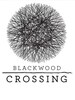 Blackwood Crossing Xbox Live Key UNITED STATES
