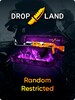 Counter-Strike: Global Offensive RANDOM RESTRICTED SKIN BY DROPLAND.NET Code GLOBAL