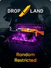 Counter-Strike: Global Offensive RANDOM RESTRICTED SKIN BY DROPLAND.NET - Key - GLOBAL