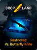 Counter-Strike: Global Offensive RANDOM RESTRICTED VS. BUTTERFLY KNIFE SKIN BY DROPLAND.NET - Key - GLOBAL