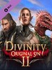 Divinity: Original Sin 2 - Divine Ascension Steam Gift GLOBAL