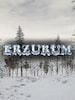 Erzurum (PC) - Steam Key - GLOBAL