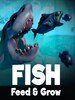 Feed and Grow: Fish Steam Gift GLOBAL