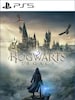 Hogwarts Legacy (PS5) - PSN Key - EUROPE