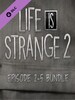 Life is Strange 2 - Episodes 2-5 bundle Steam Key RU/CIS
