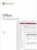 Microsoft Office Professional 2019 (PC) - Microsoft Key - GLOBAL
