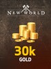 New World Gold 30k Asgard - EUROPE (CENTRAL SERVER)