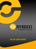 Openbucks Gift Card 1 USD - Openbucks Key - UNITED STATES