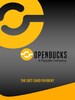 Openbucks Gift Card 10 USD - Openbucks Key - UNITED STATES