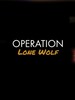 Operation Lone Wolf Steam Key GLOBAL