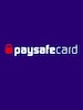PaysafeCard 10 EUR - Paysafecard Key - NETHERLANDS