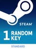 Random 1 Key Steam Key GLOBAL