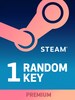 Random PREMIUM 1 Key Steam Key GLOBAL