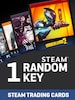 Random Steam Collectible 1 Key - Steam Key - GLOBAL