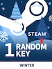 Random Winter 1 Key (PC) - Steam Key - GLOBAL