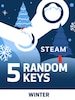 Random Winter 5 Keys (PC) - Steam Key - GLOBAL