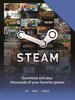 Steam Gift Card 1 USD Steam Key - For USD Currency Only
