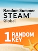 Summer Random 1 Key - Steam Key - GLOBAL