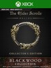 The Elder Scrolls Online Collection: Blackwood | Collector's Edition (Xbox One) - Xbox Live Key - UNITED STATES