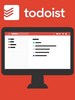 Todoist Pro 6 (1 Device, 6 Months) - todoist.com Key - GLOBAL