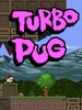 Turbo Pug Steam Key GLOBAL