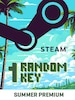 Summer Random 1 Key Premium - Steam Key - GLOBAL
