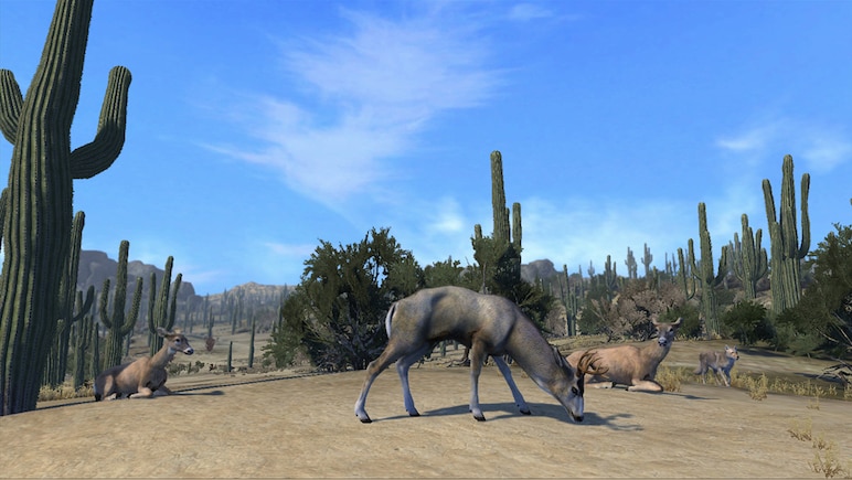Cabela's Big Game Hunter Pro Hunts PC