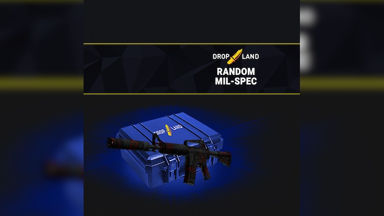 Counter Strike 2 RANDOM MIL-SPEC SKIN BY DROPLAND.NET