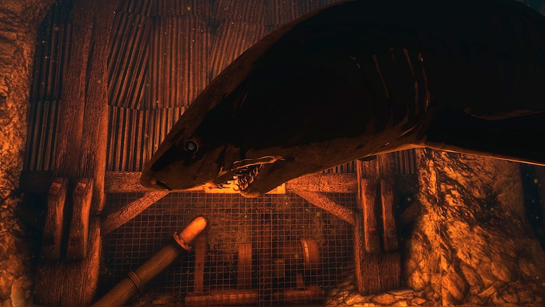 Depth
