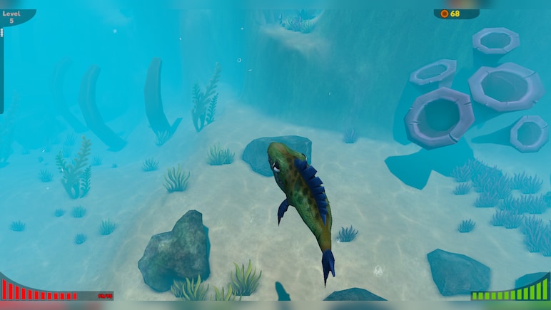 Feed and Grow: Fish