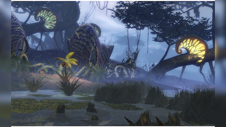 Guild Wars 2 GAMECARD